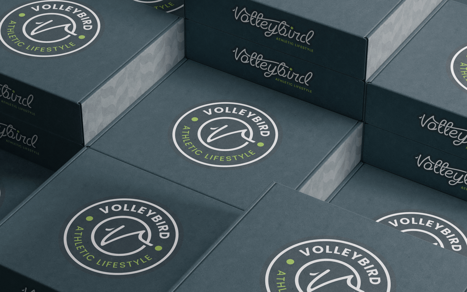 Subscription Boxes for Passionate Players - VolleyBird