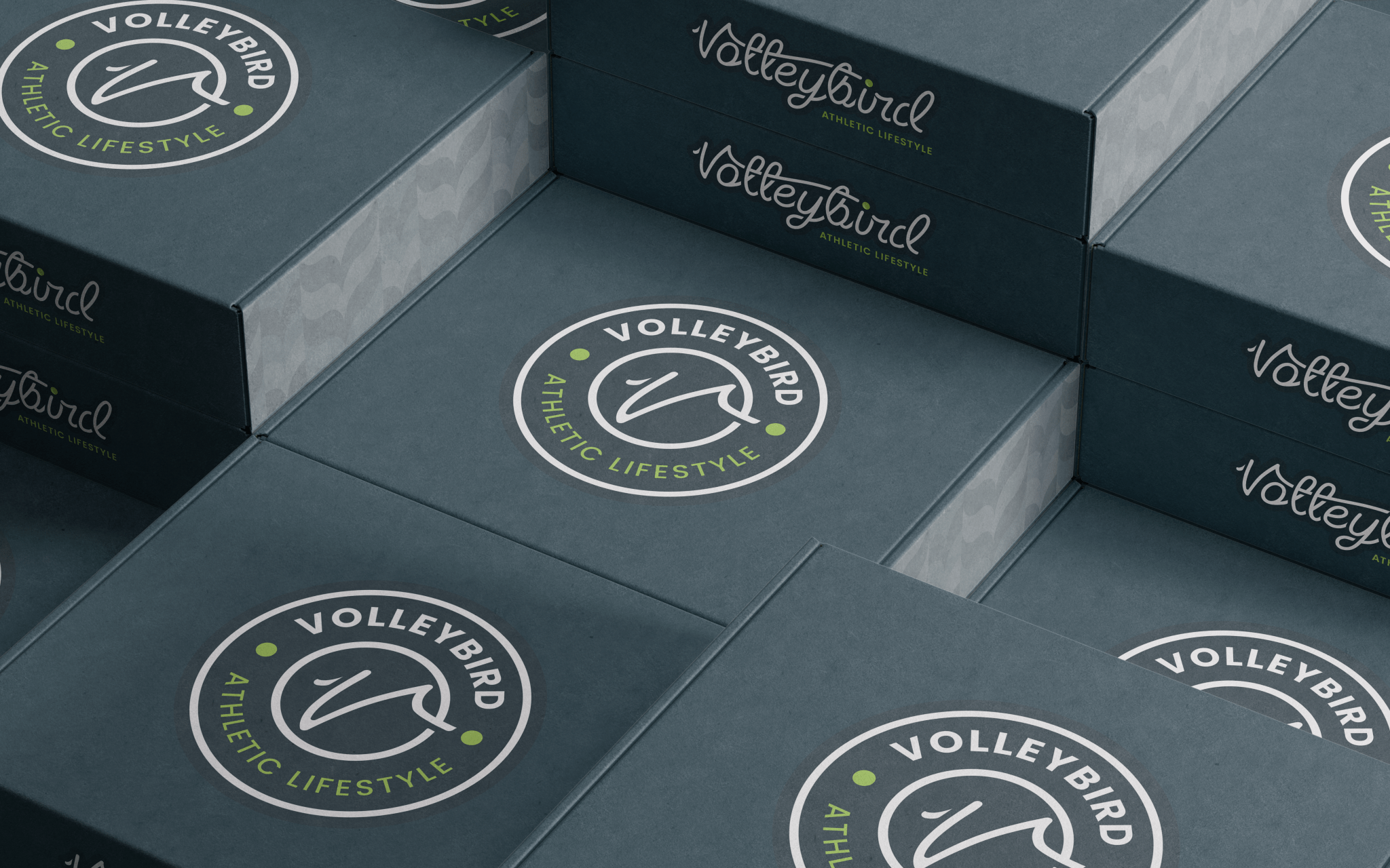 The Volleybird Launch Box - VolleyBird